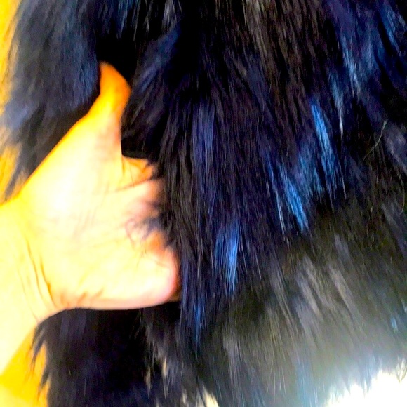 🖤🆕DK x Widow Blue & Green Snap Up Faux Fur  Jacket!Sz S!BNWT! NEVER WORN!SO!🦇 - Picture 2 of 9